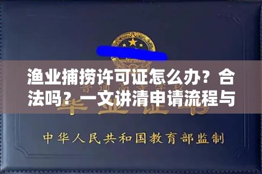 全国渔业捕捞许可证怎么办?合法吗?一文讲清申请流程与合规要点